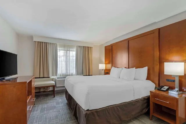 جناح بسرير كينج بشرفة مع أريكة، Comfort Suites At Evergreen Parkway 4/10
