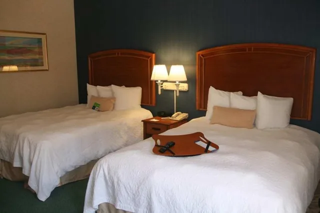 غرفة قياسية بسرير مزدوج، Hampton Inn Chihuahua 1/4