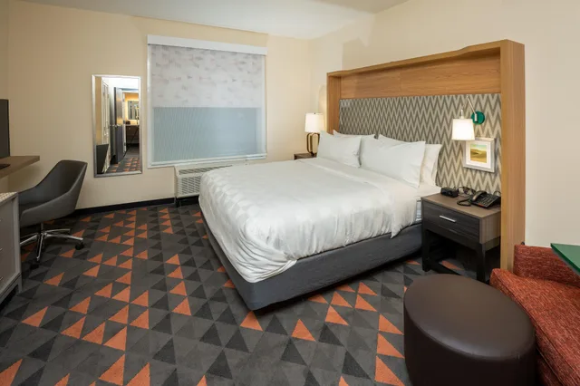 جناح بسرير كينج مع أريكة، Holiday Inn Nw Houston Beltway 8 4/6
