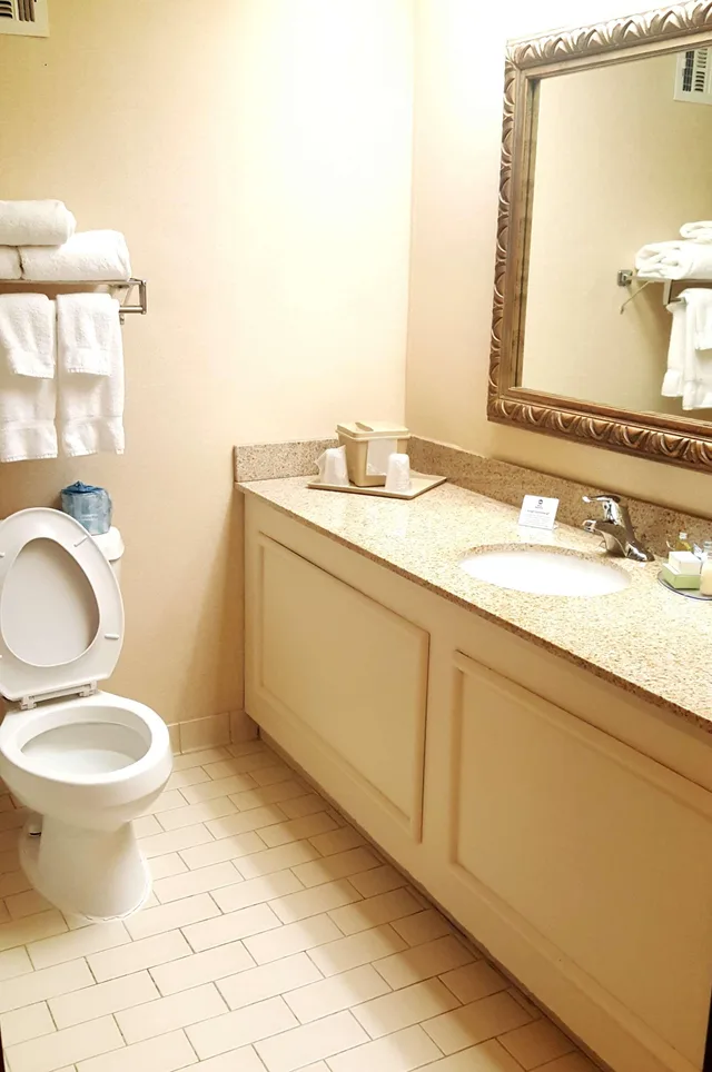 Room, King Bed, Exterior Entrance, Smoking، Best Western Hickory 8/9