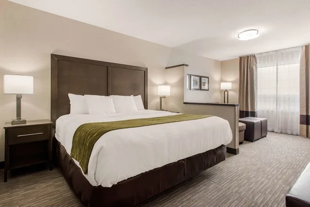 غرفة قياسية بسرير كينج، Comfort Inn & Suites Red Deer North 3/6