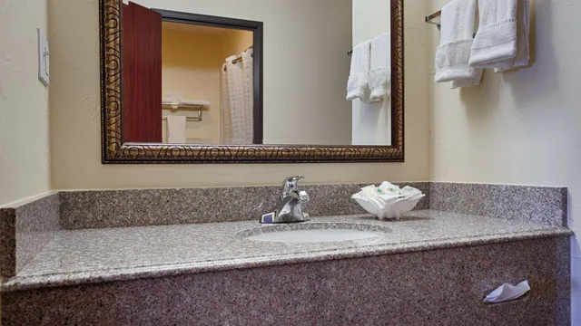 غرفة قياسية بسريرين كوين يُسمح فيها بالحيوانات الأليفة، Best Western Greentree Inn & Suites 6/6