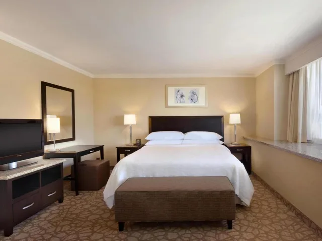 غرفة بسرير كينج بغرفة نوم واحدة لذوي الإعاقة، Embassy Suites by Hilton Los Angeles Glendale 3/5