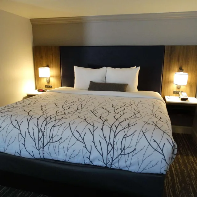 Suite, King Bed, Pool Side, Jetted Tub، Best Western Denver East 3/8