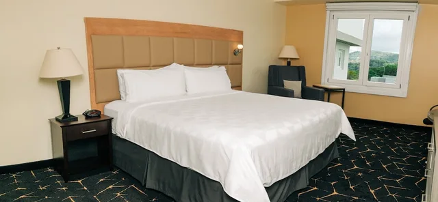 غرفة قياسية بسرير كينج، Holiday Inn San Salvador An Ihg Hotel 3/10