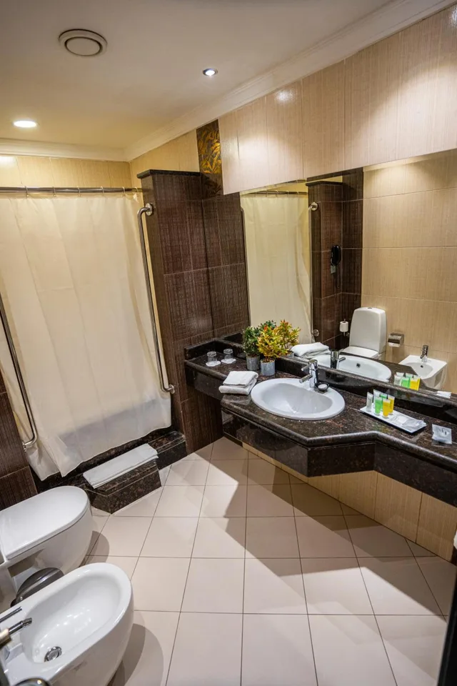 جناح بانورامي، Ayass Hotel 10/10