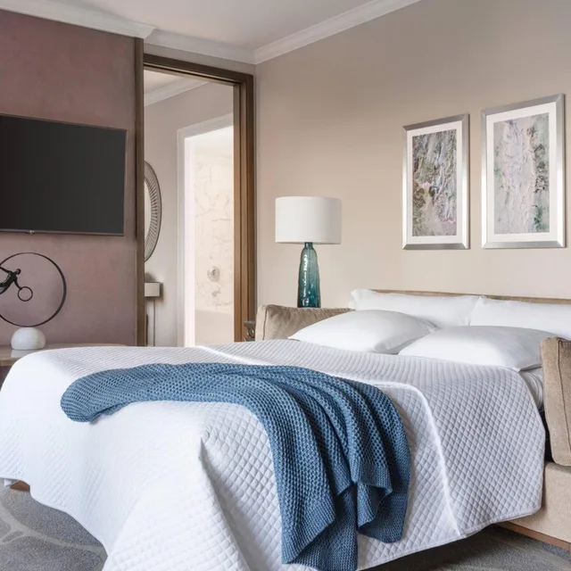 1 Bedroom, Suite, Bay View, Balcony، The Ritz Carlton Sarasota 2/4
