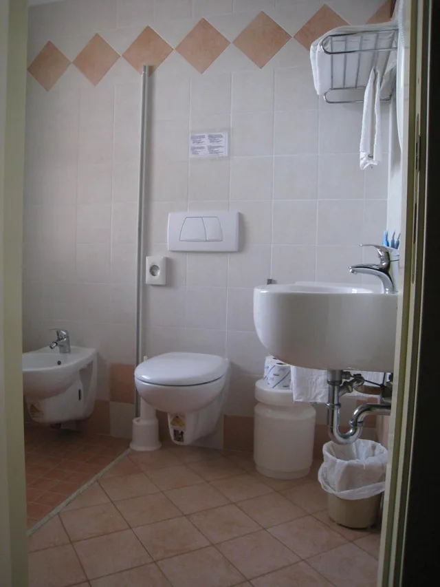 غرفة قياسية بسرير مزدوج أو سريرين منفصلين بإطلالة على البحر، Hotel Losanna 5/5