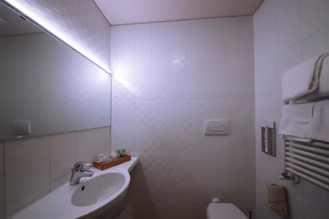 غرفة كومفورت بسريرين منفصلين، Monica Hotel Fiera 3/3