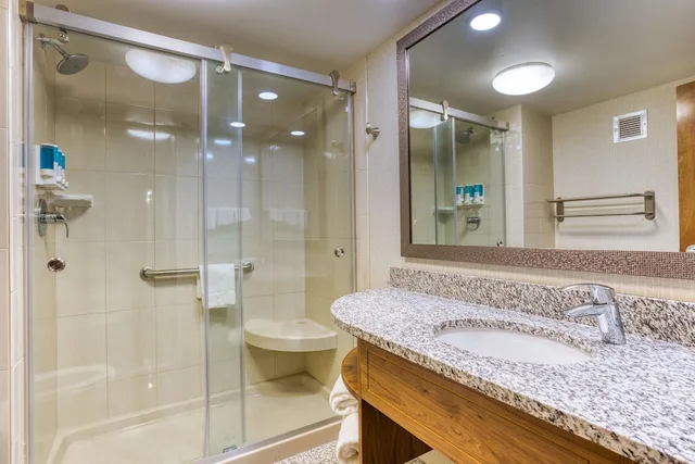 غرفة بسرير كينج لذوي الإعاقة، Drury Inn and Suites St Louis Collinsville 4/4