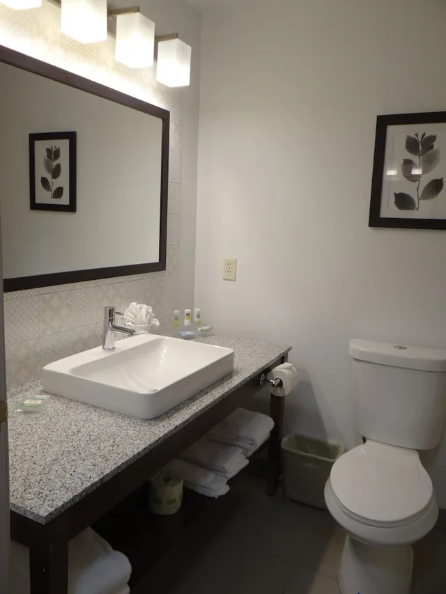 جناح بسرير كينج بغرفة نوم واحدة، Country Inn Suites By Radisson Salisbury Md 2/2