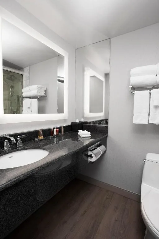 1 Bedroom, Bi Level, Loft, Suite, King Bed, Falls View, Sofa, High Floor, Niagara Falls Marriott on The Falls 3/3