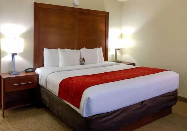 Basic, Single, King Bed, Resort View, Balcony، Vista Suites Pigeon Forge TN 1/1