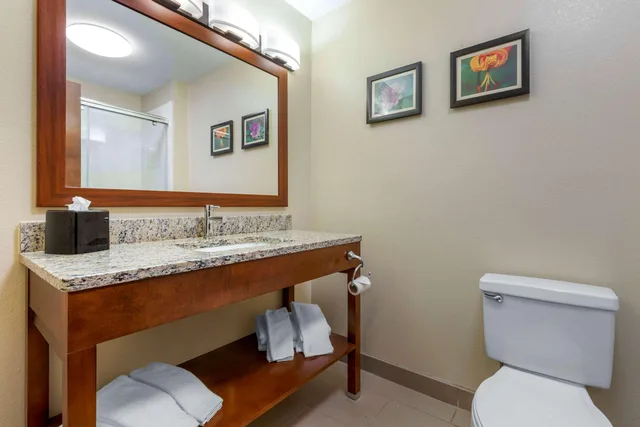 غرفة بسرير مزدوج، Comfort Inn & Suites Lenoir Hwy 321 Northern Foothills 8/8