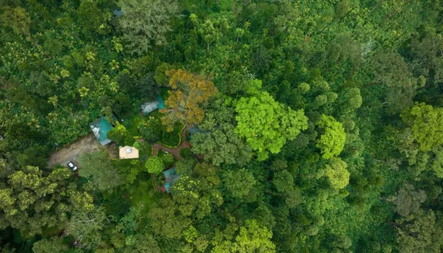 BLUE BELLS VALLEY RESORT، مونار 38/55