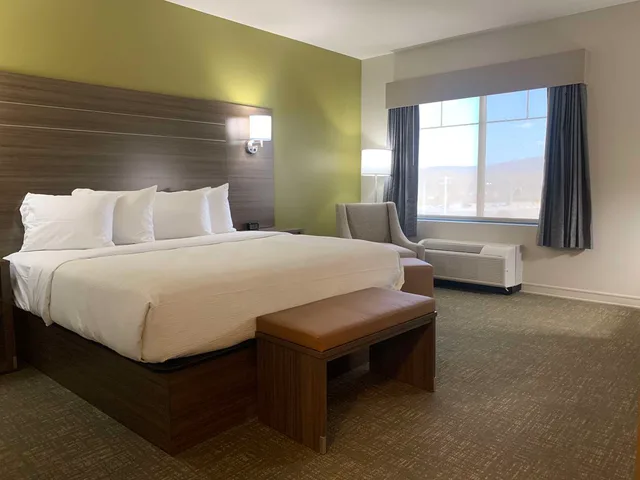 غرفة بسرير كينج لذوي الإعاقة، Best Western Plus Horseheads Inn Suites 1/4