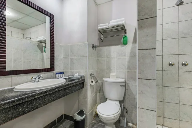 غرفة بسرير مزدوج بإطلالة على المدينة، Protea Hotel by Marriott Lusaka Cairo Road 9/9