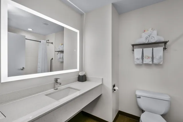 Leisure, King Bed، Holiday Inn Express and Suites Lucedale Hotel 3/5