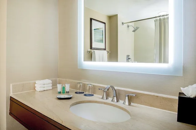 غرفة ديلوكس بسريرين مزدوجين لذوي الإعاقة، The Westin Waltham Boston 3/3