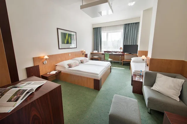 غرفة كومفورت ثلاثية بسرير كينج وسرير فردي، Hotel Grand Litava 1/1
