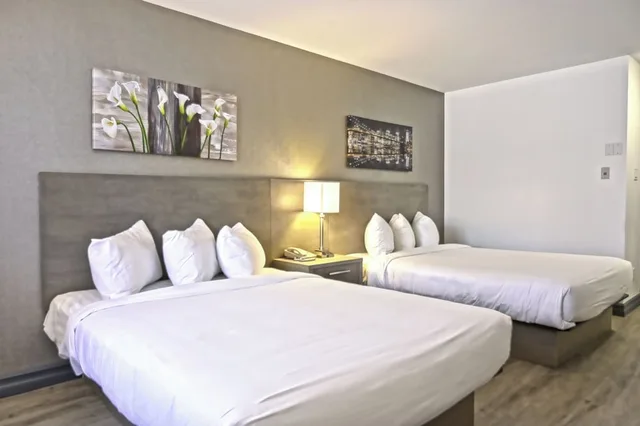غرفة تنفيذية بسريرين كوين، Repotel Levis 2/6
