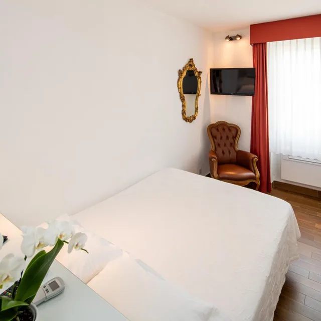 غرفة سوبيريور مفردة، Hotel Campione 1/15