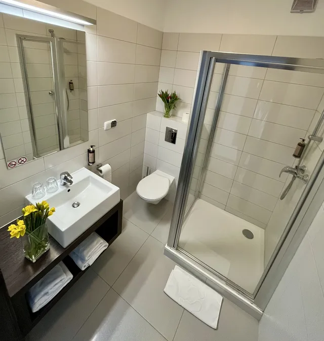 غرفة قياسية بسريرين منفصلين، Malta Premium Hotel 5/6