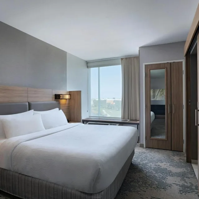 جناح بسرير كينج بإطلالة على البحيرة مع سرير سحّاب إضافي مع أريكة، Springhill Suites Austin Cedar Park 1/4