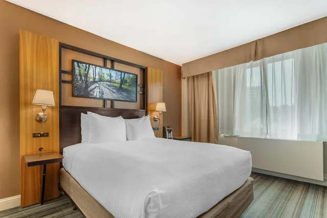 غرفة قياسية بسرير كوين لذوي الإعاقة، Best Western Queens Gold Coast 6/10
