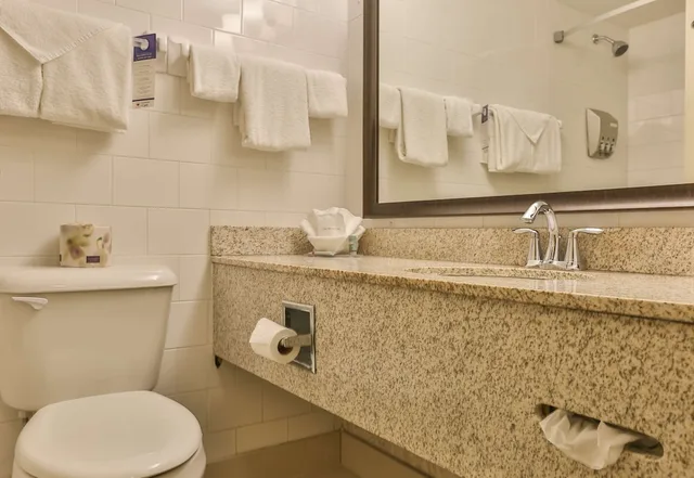 Standard, 2 Double Beds, Pet Friendly, Best Western Brantford Hotel Conference Centre 5/5