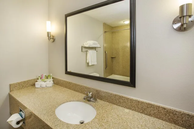 Standard, Holiday Inn Express Kalamazoo 1/1