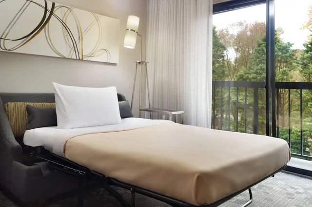 غرفة بسرير مزدوج لذوي الإعاقة، Courtyard Raleigh Cary 1/4