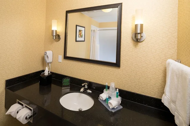 غرفة قياسية بسرير كينج، Holiday Inn Express Hotel And Suites Detroit North Troy 2/2
