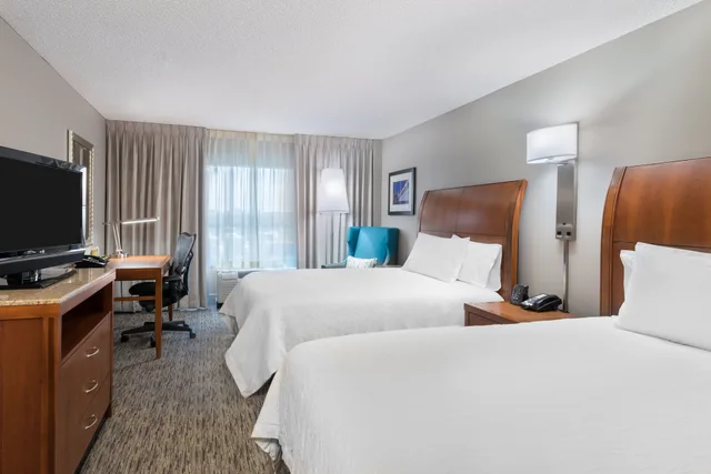 Evolution, 2 Queen Beds، Hilton Garden Inn Tampa Airport 5/9