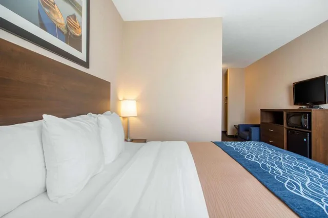 جناح بسرير كينج وسرير كوين، Comfort Inn & Suites Virden MB 2/9