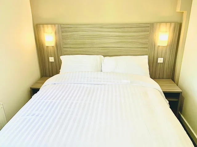 غرفة قياسية بسرير مزدوج، De Regency Style Hotel 3/8