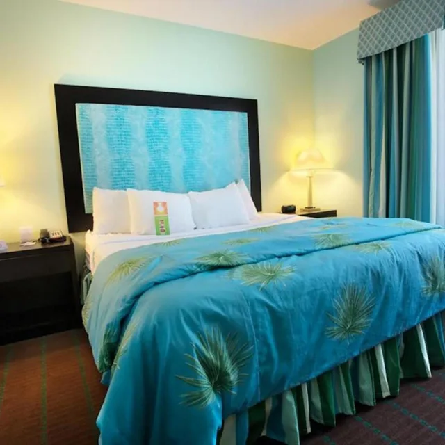 جناح بغرفة نوم واحدة، Holiday Inn Hotel And Suites Ocala Conference Center 2/3
