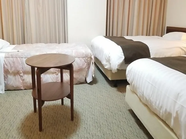 غرفة ديلوكس ثلاثية بسريرين منفصلين مع سرير إضافي، Hotel Grand Terrace Toyama 1/2