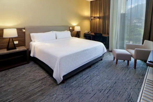 Standard, King Bed, Balcony, Middle Floor, Holiday Inn Express Suites Monterrey Valle 1/5