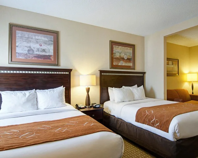 جناح بسريرين كوين، Comfort Suites Conway 3/10