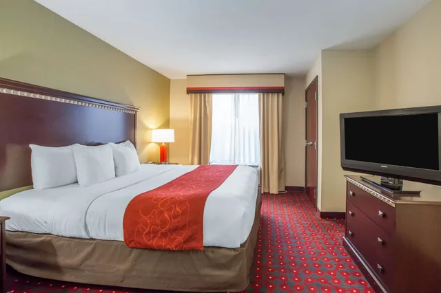 جناح، Comfort Suites Locust Grove Atlanta South 3/4
