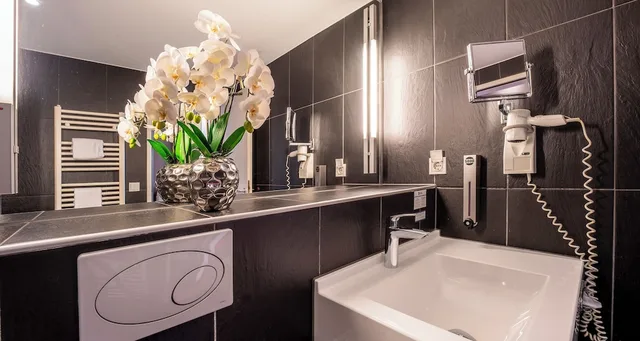 Comfort, Single, PLAZA INN Wels 8/9