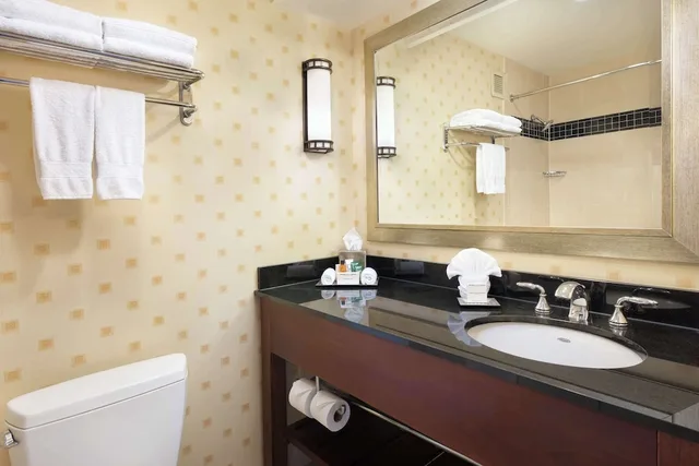 جناح عائلي بسرير كينج لذوي الإعاقة، Hilton Chicago OHare Airport 2/8