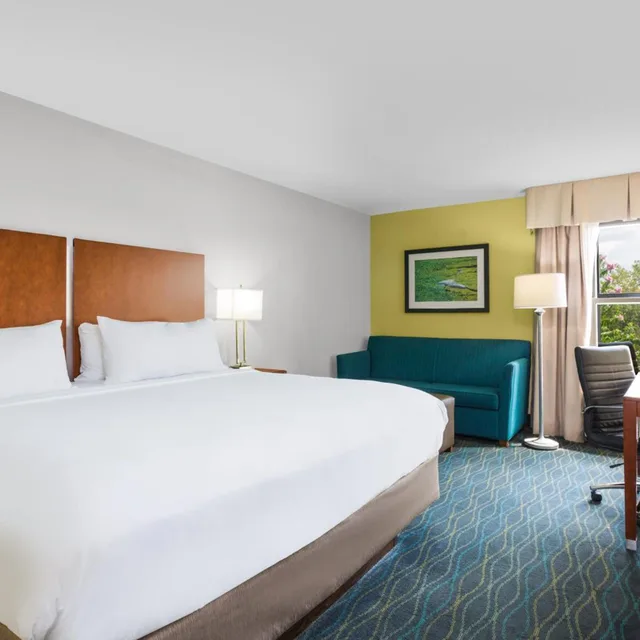 Xtra Space, Standard, King Bed، Holiday Inn Express Hotel And Suites Wilmington University Center 3/8