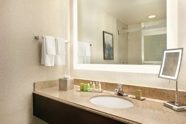 Junior Suite, King Bed, Low Floor, Accessible, Doubletree By Hilton Atlanta Northlake 1/2