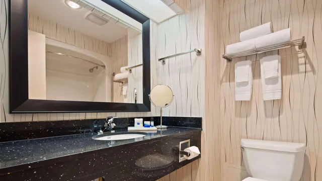 جناح بسرير كينج، Best Western Plus Travel Hotel Toronto Airport 3/5