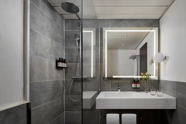 Suite, Single, Avani Frankfurt City Hotel 5/12