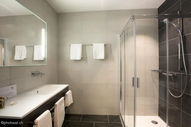 غرفة قياسية بسرير مزدوج، Martigny Boutique-Hotel 2/2