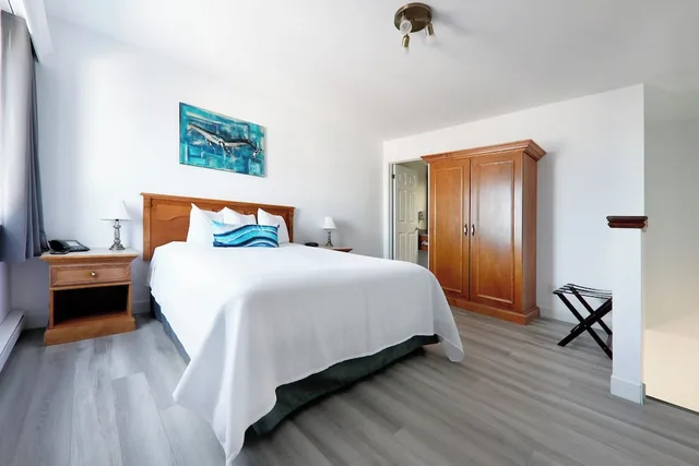 استوديو بسرير كوين بمطبخ، Hotel Plante 2/6