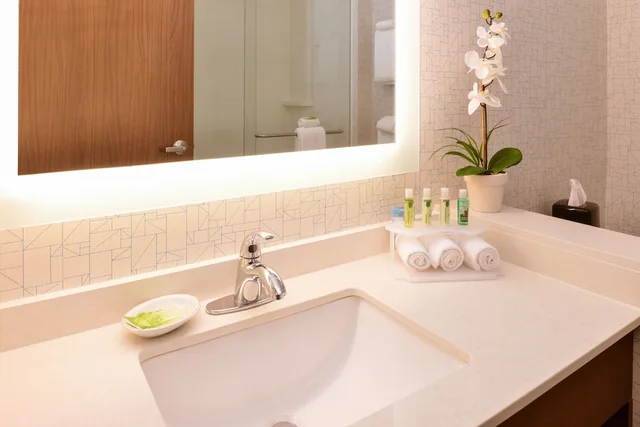 جناح بسريرين كوين لذوي الإعاقة، Holiday Inn Express And Suites Salem 5/7